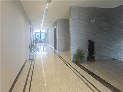 办公展示